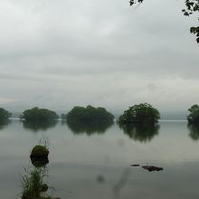 大沼湖から、駒ヶ岳すそ野は写真の左端にちらっと見える