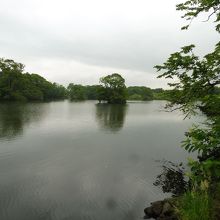 大沼には小島が沢山