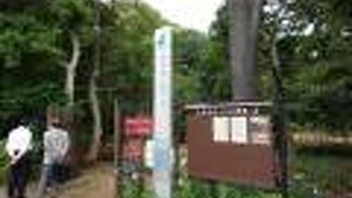 個性的で独特な雰囲気を持つ公園