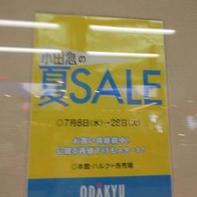 ＳＡＬＥも
