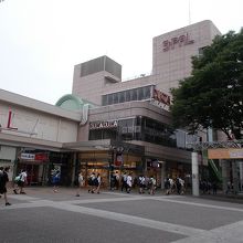 全体の様子です。