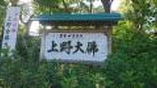 ちょっとグロテスクな感じ