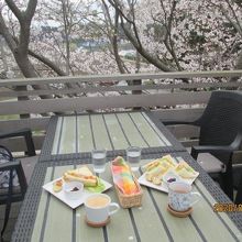 桜を満喫できる特等席でサンドイッチを食べる。
