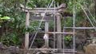 三柱鳥居を見に行きました。