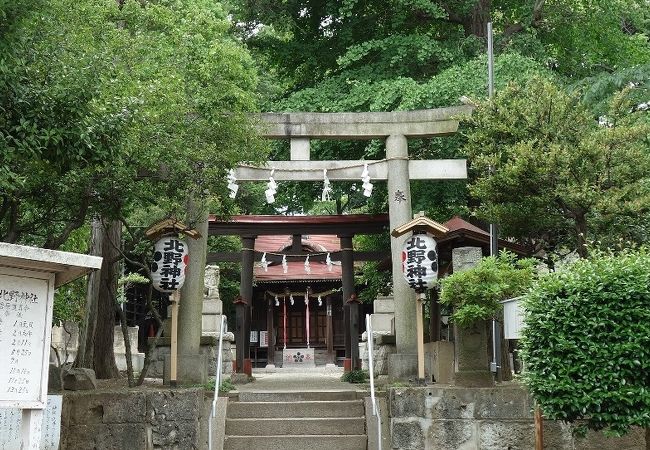 緑が深い静かな神社