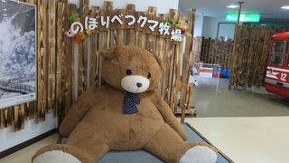 クマがかわいい