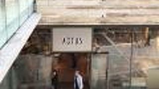 ここは大きなアクタス