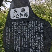 玉川上水