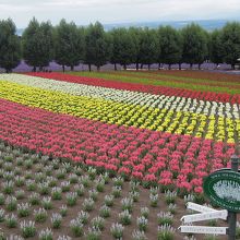 こちらもキレイ