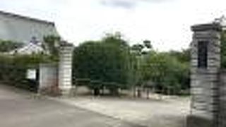 寺町エリアの南側で最寄りは地下鉄・連坊