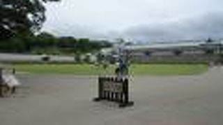 中には入りませんでしたが