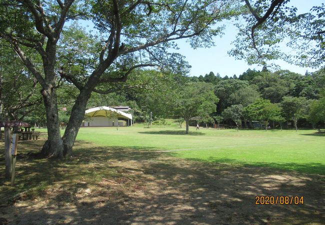 内浦山県民の森