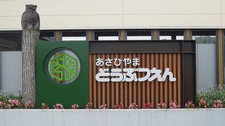 7年ぶりの旭山動物園！！雨…。