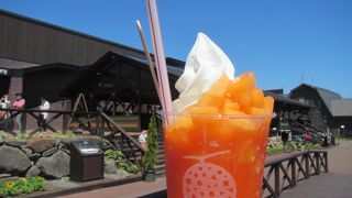 ファーム富田併設で、いろいろなメロンスイーツが食べられる！