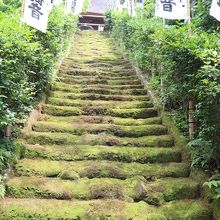鎌倉の苔寺 By こばじょん 妙法寺 苔寺 のクチコミ フォートラベル