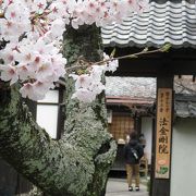 関西花の寺