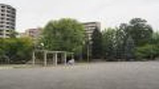 都会の中に豊かな自然がある