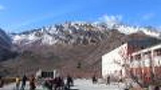 ナナカマドの実