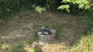 見落としがちな井戸