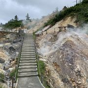 火山温泉活動をみることが出来る！