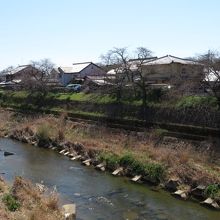 のんびりした雰囲気です