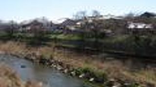 川沿いの道です