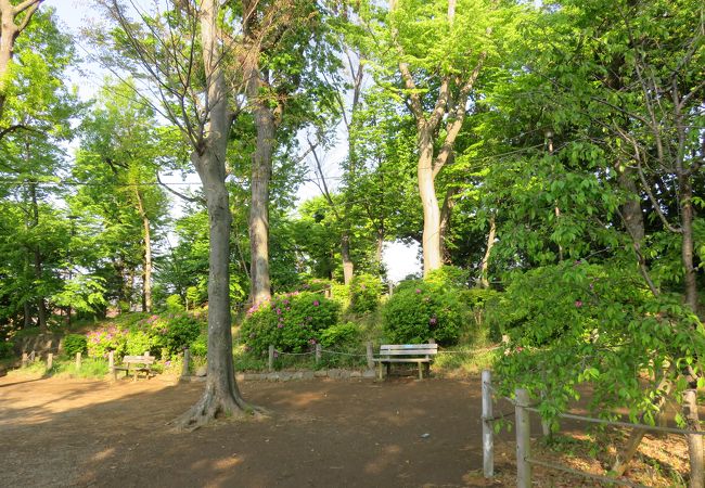 世田谷城阯公園 クチコミ アクセス 営業時間 三軒茶屋 駒沢 フォートラベル