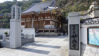 眉山をバックにした眉山に近い方