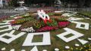 花々がきれいに咲いている