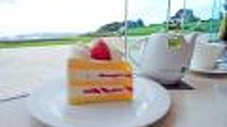 美しい庭園を眺めながら