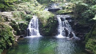 距離があるので歩きやすい格好がオススメ