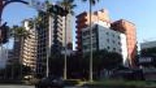 広さとヤシの木で開放感が抜群