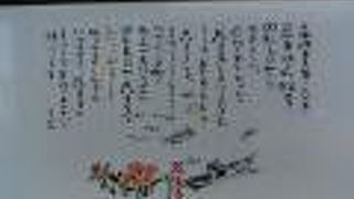 根室に行ったら食べてほしいお寿司です。