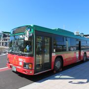 桜島西側を周遊するバス