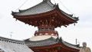 重文の多宝塔、本堂がある寺