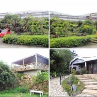 敷地が広くて花に囲まれています。