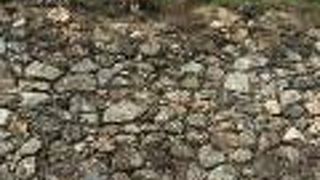 昔の面影が残る