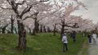 桜の季節がベスト