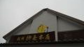 美味しい栗羊羹