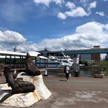 お店の外の風景