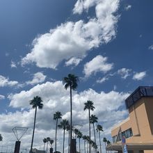 ベイサイドプレイスの南国的風景