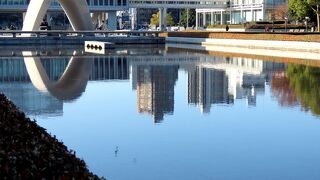 【平和の池】慰霊碑を取り囲んでいる池