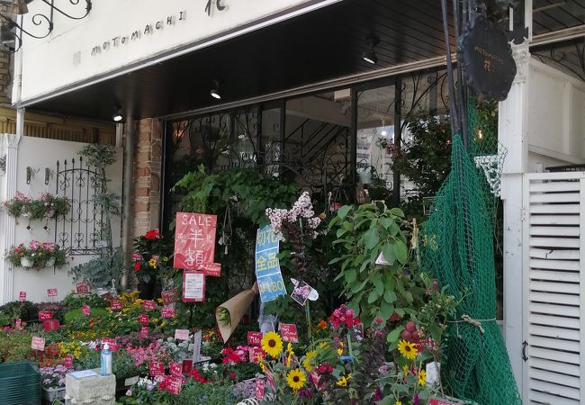 もとまち 花こ クチコミ アクセス 営業時間 横浜 フォートラベル もとまち 花こ クチコミ アクセス 営業時間 横浜 フォートラベル