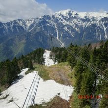 この先が「しらかば平駅」