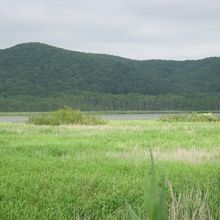 細岡駅に近い側から望む達古武湖の景観の一例