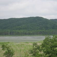 舗装道路から眺める景観に関してはこの位が限度かな？