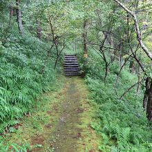 さあ、山城を登りますが…