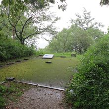 この「三の段」から…