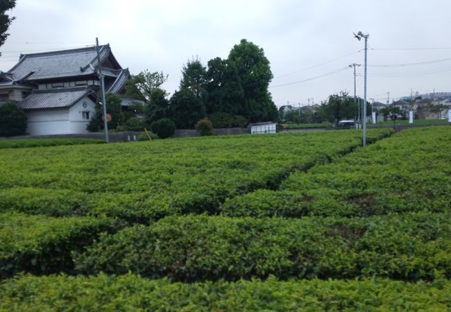 幸右衛門茶舗 本店 クチコミ アクセス 営業時間 福生 武蔵村山 フォートラベル 幸右衛門茶舗 本店 クチコミ アクセス 営業時間 福生 武蔵村山 フォートラベル