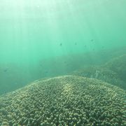 サンゴ礁の海